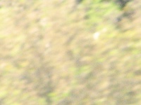 20100206 539.JPG